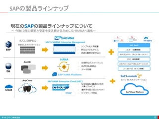 SAPの製品ラインナップ
12
 