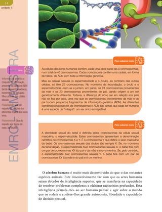 14 
unidade 1 
AMOSTRA 
Para saberes mais 
Vocabulário 
- EMRC Para saberes mais 
A identidade sexual do bebé é definida pelos cromossomas da célula sexual 
masculina, o espermatozóide. Estes cromossomas apresentam a denominação 
científica de cromossomas X e Y. É o cromossoma Y que define o sexo masculino 
do bebé. Os cromossomas sexuais dos óvulos são sempre X. Se, no momento 
da fecundação, o espermatozóide tiver cromossomas sexuais X, o bebé fica com 
um par de cromossomas XX (do pai e da mãe) e é uma menina. Se, pelo contrário, 
o espermatozóide tiver cromossomas sexuais Y, o bebé fica com um par de 
cromossomas XY (da mãe e do pai) e é um menino. 
espécies animais. Este desenvolvimento faz com que os seres humanos 
sejam dotados de inteligência superior, que se manifesta na capacidade 
de resolver problemas complexos e elaborar raciocínios profundos. Esta 
inteligência permite-lhes ao ser humano pensar e agir sobre o mundo 
que os rodeia e confere-lhes grande autonomia, liberdade e capacidade 
de decisão pessoal. Informação genética: 
Conjunto de informação, 
presente na cadeia de ADN 
(ácido desoxirribonucleico), 
transmitida de pais para 
filhos através das células 
sexuais. 
Fisiológica: Que diz 
respeito às funções dos 
diferentes órgãos dos seres 
vivos. 
Fisionómica: Que diz 
respeito aos traços do 
rosto, às feições. 
As células dos seres humanos contêm, cada uma, dois pares de 23 cromossomas, 
num total de 46 cromossomas. Cada cromossoma contém uma cadeia, em forma 
de hélice, de ADN com toda a informação genética. 
Mas as células sexuais (o espermatozóide e o óvulo), ao contrário das outras 
células, só têm 23 cromossomas. No momento da fecundação, o óvulo e o 
espermatozóide unem-se e juntam, em pares, os 23 cromossomas provenientes 
da mãe e os 23 cromossomas provenientes do pai, dando origem a um ser 
geneticamente diferente. Todavia, a diferença do novo ser em relação aos pais 
não se fica por aqui, uma vez que os cromossomas provenientes da mãe e do 
pai trocam pequenos fragmentos de informação genética (ADN). As diferentes 
combinações possíveis de cromossomas e ADN são tantas que cada ser humano 
é uma espécie de “milagre”: um ser único e irrepetível. 
O cérebro humano é muito mais desenvolvido do que o das restantes 
 