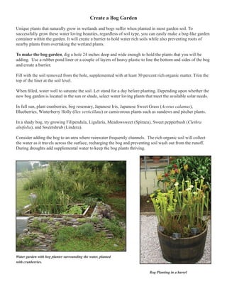 Create a Bog Garden 
Unique plants that naturally grow in wetlands and bogs suffer when planted in most garden soil. To 
successfully grow these water loving beauties, regardless of soil type, you can easily make a bog-like garden 
container within the garden. It will create a barrier to hold water rich soils while also preventing roots of 
nearby plants from overtaking the wetland plants. 
To make the bog garden, dig a hole 24 inches deep and wide enough to hold the plants that you will be 
adding. Use a rubber pond liner or a couple of layers of heavy plastic to line the bottom and sides of the bog 
and create a barrier. 
Fill with the soil removed from the hole, supplemented with at least 30 percent rich organic matter. Trim the 
top of the liner at the soil level. 
When filled, water well to saturate the soil. Let stand for a day before planting. Depending upon whether the 
new bog garden is located in the sun or shade, select water loving plants that meet the available solar needs. 
In full sun, plant cranberries, bog rosemary, Japanese Iris, Japanese Sweet Grass (Acorus calamus), 
Blueberries, Winterberry Holly (Ilex verticillata) or carnivorous plants such as sundews and pitcher plants. 
In a shady bog, try growing Filipendula, Ligularia, Meadowsweet (Spiraea), Sweet pepperbush (Clethra 
alnifolia), and Sweetshrub (Lindera). 
Consider adding the bog to an area where rainwater frequently channels. The rich organic soil will collect 
the water as it travels across the surface, recharging the bog and preventing soil wash out from the runoff. 
During droughts add supplemental water to keep the bog plants thriving. 
Water garden with bog planter surrounding the water, planted 
with cranberries. 
Bog Planting in a barrel 
 