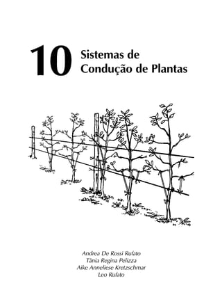 10	
Sistemas de
			Condução de Plantas
Andrea De Rossi Rufato
Tânia Regina Pelizza
Aike Anneliese Kretzschmar
Leo Rufato
 