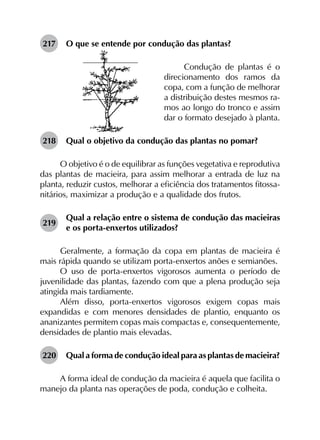 217	 O que se entende por condução das plantas?
Condução de plantas é o
direcionamento dos ramos da
copa, com a função de melhorar
a distribuição destes mesmos ra-
mos ao longo do tronco e assim
dar o formato desejado à planta.
218	 Qual o objetivo da condução das plantas no pomar?
O objetivo é o de equilibrar as funções vegetativa e reprodutiva
das plantas de macieira, para assim melhorar a entrada de luz na
planta, reduzir custos, melhorar a eficiência dos tratamentos fitossa­
nitários, maximizar a produção e a qualidade dos frutos.
219	
Qual a relação entre o sistema de condução das macieiras
e os porta-enxertos utilizados?
Geralmente, a formação da copa em plantas de macieira é
mais rápida quando se utilizam porta-enxertos anões e semianões.
O uso de porta-enxertos vigorosos aumenta o período de
juvenilidade das plantas, fazendo com que a plena produção seja
atingida mais tardiamente.
Além disso, porta-enxertos vigorosos exigem copas mais
expandidas e com menores densidades de plantio, enquanto os
ananizantes permitem copas mais compactas e, consequentemente,
densidades de plantio mais elevadas.
220	 Qual a forma de condução ideal para as plantas de macieira?
A forma ideal de condução da macieira é aquela que facilita o
manejo da planta nas operações de poda, condução e colheita.
 