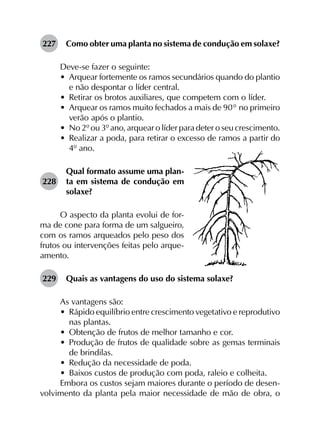 227	 Como obter uma planta no sistema de condução em solaxe?
Deve-se fazer o seguinte:
•	 Arquear fortemente os ramos secundários quando do plantio
e não despontar o líder central.
•	 Retirar os brotos auxiliares, que competem com o líder.
•	 Arquear os ramos muito fechados a mais de 90° no primeiro
verão após o plantio.
•	 No 2º ou 3º ano, arquear o líder para deter o seu crescimento.
•	 Realizar a poda, para retirar o excesso de ramos a partir do
4º ano.
228	
Qual formato assume uma plan­
ta em sistema de condução em
solaxe?
O aspecto da planta evolui de for-
ma de cone para forma de um salgueiro,
com os ramos arqueados pelo peso dos
frutos ou intervenções feitas pelo arque-
amento.
229	 Quais as vantagens do uso do sistema solaxe?
As vantagens são:
•	 Rápido equilíbrio entre crescimento vegetativo e reprodutivo
nas plantas.
•	 Obtenção de frutos de melhor tamanho e cor.
•	 Produção de frutos de qualidade sobre as gemas terminais
de brindilas.
•	 Redução da necessidade de poda.
•	 Baixos custos de produção com poda, raleio e colheita.
Embora os custos sejam maiores durante o período de desen­
volvimento da planta pela maior necessidade de mão de obra, o
 