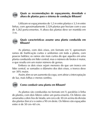 238	
Quais as recomendações de espaçamento, densidade e
altura de plantas para o sistema de condução Bibaum?
Utilizam-se espaçamentos de 1,2 m entre plantas e 3,3 m entre
linhas, com aproximadamente 2.524 plantas por hectare com o uso
de 1.262 porta-enxertos. A altura das plantas deve ser mantida em
3 m.
239	
Quais características assume uma planta conduzida em
Bibaum?
As plantas, com dois eixos, em formato em V, apresentam
ramos de frutificação curtos e uniformes em toda a planta, com
poucos ladrões; os ramos são mais curtos do que aqueles em uma
planta conduzida em líder central, mas o número de brotos é maior,
o que resulta em um maior número de gemas.
Embora os dois eixos sejam menores do que um tronco em
líder central, se somados o diâmetro dos dois eixos, o tronco deve
ser 30% maior.
Assim, têm-se um aumento da copa, sem afetar a interceptação
de luz, mais folhas e menos sombra.
240	 Como conduzir uma planta em Bibaum?
As plantas são conduzidas no formato em V, paralelas à linha
de plantio, com dois líderes sobre um porta-enxerto. Os líderes são
amarrados a dois fios de latada, um cerca de 30 cm acima da divisão
das plantas (forca) e o outro a 90 cm deste. Os líderes são espaçados
entre si de 50 cm–60 cm.
 