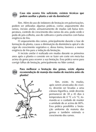 253	
Caso não ocorra frio suficiente, existem técnicas que
podem auxiliar a planta a sair da dormência?
Sim. Além do uso de indutores de brotação em pulverizações,
podem ser utilizadas algumas práticas, como: arqueamento dos
ramos, incisão anelar, armazenamento de mudas sob baixa tem­
peratura, controle do crescimento dos ramos do ano, poda verde e
poda de pós-colheita, uso de cultivares e porta-enxertos com baixa
exigência de frio.
O arqueamento dos ramos, principalmente durante a fase de
formação da planta, causa a diminuição da dominância apical e do
vigor do crescimento vegetativo e, dessa forma, favorece a menor
exigência de frio para a indução da brotação.
A incisão anelar é realizada em mudas durante os primeiros
anos após o plantio e consiste em se fazer um corte em meia-lua
acima da gema para ocorrer a sua brotação. Essa prática serve para
corrigir falhas de brotação, principalmente no líder central.
254	
Para melhorar a brotação das gemas, existe alguma
recomendação de manejo das mudas de macieira antes do
plantio?
Sim, existe. As mudas,
após serem arrancadas do vivei-
ro, deverão ser levadas a uma
câmara frigorífica, onde deverão
permanecer de 30 a 45 dias à
temperatura de 4 °C a 6 °C, to-
mando-se o cuidado de manter
a umidade do ar acima de 80%.
Essa prática possibilita a brota-
ção uniforme da maioria das
gemas e também estimula o
crescimento dos ramos.
 