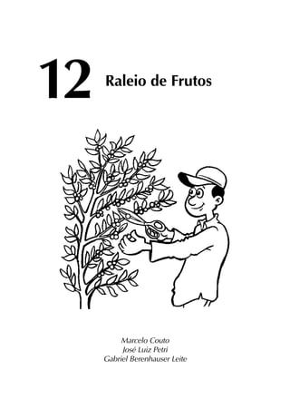 12	
Raleio de Frutos
Marcelo Couto
José Luiz Petri
Gabriel Berenhauser Leite
 