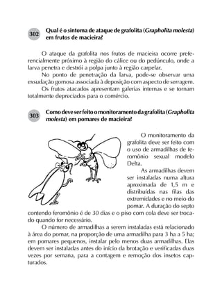 302	
Qual é o sintoma de ataque de grafolita (Grapholita molesta)
em frutos de macieira?
O ataque da grafolita nos frutos de macieira ocorre prefe­
rencialmente próximo à região do cálice ou do pedúnculo, onde a
larva penetra e destrói a polpa junto à região carpelar.
No ponto de penetração da larva, pode-se observar uma
exsudação gomosa associada à deposição com aspecto de serragem.
Os frutos atacados apresentam galerias internas e se tornam
totalmente depreciados para o comércio.
303	
Comodeveserfeitoomonitoramentodagrafolita(Grapholita
molesta) em pomares de macieira?
O monitoramento da
grafolita deve ser feito com
o uso de armadilhas de fe-
romônio sexual modelo
Delta.
As armadilhas devem
ser instaladas numa altura
aproximada de 1,5 m e
distribuídas nas filas das
extremidades e no meio do
pomar. A duração do septo
contendo feromônio é de 30 dias e o piso com cola deve ser troca-
do quando for necessário.
O número de armadilhas a serem instaladas está relacionado
à área do pomar, na proporção de uma armadilha para 3 ha a 5 ha;
em pomares pequenos, instalar pelo menos duas armadilhas. Elas
devem ser instaladas antes do início da brotação e verificadas duas
vezes por semana, para a contagem e remoção dos insetos cap­
turados.
 