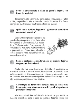319	
Como é caracterizado o dano de grandes lagartas em
frutos de macieira?
Basicamente são observadas perfurações circulares nos frutos;
porém, dependendo do estado de desenvolvimento dos frutos,
apenas são evidenciadas cicatrizes no local de ataque.
320	
Quais são as espécies de grandes lagartas mais comuns em
pomares de macieira?
Existe um complexo de espécies de
grandes lagartas pertencentes às famílias
Noctuidade e Geometridae. Os noctuí-
deos Chabuata major, Peridroma saucia,
Pseudoplusia includens, Rachiplusia nu e
o geometrídeo Physocleora dimidiaria
são as espécies mais frequentes em po-
mares de macieira.
321	
Como é realizado o monitoramento de grandes lagartas
em pomares de macieira?
Ainda não há uma ferramenta definida. A contagem de
mariposas coletadas em armadilhas McPhail com suco de uva pode
indicar a presença dos organismos nos pomares; porém, devemos
ter cuidado pelo fato de Pseudoplusia includens e Rachiplusia nu
não serem capturadas com esse atrativo.
322	
A utilização de feromônios sexuais pode se tornar uma
ferramenta para monitoramento de grandes lagartas em
pomares de macieira?
Não seria viável. Feromônios são substâncias que atuam de
maneira específica; para o caso de grandes lagartas, existe um
 