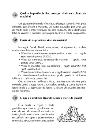 346	
Qual a importância das doenças virais na cultura da
macieira?
Um grande número de vírus causa doenças transmissíveis pela
enxertia, que afetam a macieira. Os danos causados por vírus vão
de muito sutis e imperceptíveis ao olho humano, até a destruição
total de viveiros e pomares inteiros por declínio e morte das plantas.
347	 Quais são os principais vírus da macieira?
Na região Sul do Brasil destacam-se, principalmente, os cha­
mados vírus latentes da macieira:
•	 Vírus-do-acanalamento-do-tronco-da-macieira  – apple
stem grooving virus (ASGV).
•	 Vírus-das-caneluras-do-tronco-da-macieira  – apple stem
pitting virus (ASPV).
•	 Vírus-da-mancha-foliar-da-macieira  – apple chlorotic leaf
spot virus (ACLSV).
•	 Vírus-do-mosaico-da-macieira – apple mosaic virus (ApMV)
O vírus-do-mosaico-da-macieira pode produzir sintomas
foliares em cultivares comerciais.
Outras doenças similares a vírus, também transmissíveis pela
enxertia como a ruga-verde, a rachadura-estrela, a casca-áspera, o
lenho-mole e a depressão-do-lenho já foram observadas em ma­
cieiras no Brasil.
348	 O que é o declínio? Quando ocorre a morte da planta?
É a perda de vigor e morte
gradativa que ocorre, geralmente, no
caso de uso de material virosado na
formação de mudas em combinações
suscetíveis de copas e porta-enxertos
sensíveis a vírus, como o Marubakaido.
 