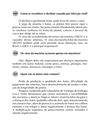 349	 Como se reconhece o declínio causado por infecção viral?
O declínio é geralmente lento, pode levar de meses a anos.
A pega da enxertia é baixa, as plantas têm pouco vigor e
poucas raízes no viveiro. No porta-enxerto Marubakaido observam-
se caneluras (ranhuras no lenho da planta), cancros e necrose da
casca que atinge até as raízes.
O vírus-do-acanalamento-do-tronco-da-macieira (ASGV) é o
causador desses sintomas. O vírus-da-mancha-foliar-da-macieira
(ACLSV) também pode estar presente nessa disfunção, mas, no
Brasil, o ASGV é o principal responsável.
350	 Os vírus da macieira ocorrem apenas em macieiras?
Não. Alguns deles são responsáveis por doenças importantes
também em outras fruteiras, como peras, ameixas, pêssegos, mar-
melos, cerejas, damascos, morangos e citros.
351	 Quais são os danos mais comuns?
Perda de produção e qualidade dos frutos, dificuldade do
pegamento das enxertias, fraco desenvolvimento de mudas e redu­
ção da longevidade do pomar.
Pesquisa conduzida pelo Laboratório de Virologia da Embrapa
Uva e Vinho demonstrou que viroses aumentam a suscetibilidade
das macieiras a doenças fúngicas foliares (mancha-foliar-da-gala) e
a doenças dos frutos (podridão-olho-de-boi), após armazenamento
em câmaras frias, além de provocar o acúmulo de frutos em calibres
menores e em refugos e afetar negativamente a firmeza dos frutos.
A multiplicação vegetativa de porta-enxertos clonais virosados é
afetada negativamente.
 
