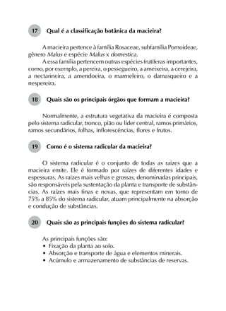 17	 Qual é a classificação botânica da macieira?
A macieira pertence à família Rosaceae, subfamília Pomoideae,
gênero Malus e espécie Malus x domestica.
A essa família pertencem outras espécies frutíferas importantes,
como, por exemplo, a pereira, o pessegueiro, a ameixeira, a cerejeira,
a nectarineira, a amendoeira, o marmeleiro, o damasqueiro e a
nespereira.
18	 Quais são os principais órgãos que formam a macieira?
Normalmente, a estrutura vegetativa da macieira é composta
pelo sistema radicular, tronco, pião ou líder central, ramos primários,
ramos secundários, folhas, inflorescências, flores e frutos.
19	 Como é o sistema radicular da macieira?
O sistema radicular é o conjunto de todas as raízes que a
macieira emite. Ele é formado por raízes de diferentes idades e
espessuras. As raízes mais velhas e grossas, denominadas principais,
são responsáveis pela sustentação da planta e transporte de substân­
cias. As raízes mais finas e novas, que representam em torno de
75% a 85% do sistema radicular, atuam principalmente na absorção
e condução de substâncias.
20	 Quais são as principais funções do sistema radicular?
As principais funções são:
•	 Fixação da planta ao solo.
•	 Absorção e transporte de água e elementos minerais.
•	 Acúmulo e armazenamento de substâncias de reservas.
 