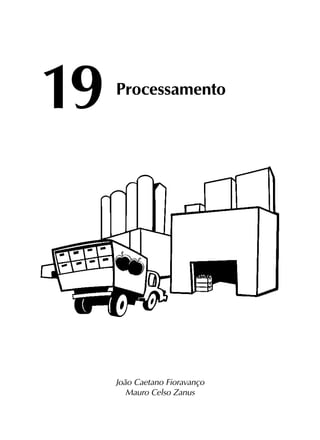 19	
Processamento
João Caetano Fioravanço
Mauro Celso Zanus
 