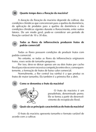 30	 Quanto tempo dura a floração da macieira?
A duração da floração da macieira depende da cultivar, das
condições climáticas que concorreram para a quebra da dormência,
da aplicação de produtos para a quebra da dormência e das
condições climáticas vigentes durante o florescimento, entre outros
fatores. De um modo geral, pode-se considerar um período de
floração variável de 10 a 30 dias.
31	
Todas as flores da inflorescência produzem frutos de
padrão comercial?
Todas as flores possuem condições de produzir frutos com
padrão comercial.
No entanto, se todas as flores da inflorescência originarem
frutos, esses serão de tamanho pequeno.
Por isso, deve-se deixar apenas um ou dois frutos por cacho
floral para não ocorrer excessiva competição entre eles e, consequen­
temente, a formação de frutos de baixo valor comercial.
Normalmente, a flor central (ou rainha) é a que produz os
frutos de maior tamanho. Ela também é a primeira flor a abrir.
32	 Como se denomina o fruto da macieira?
O fruto da macieira é um
pseudofruto, denominado pomo.
Ele se forma a partir do desenvol-
vimento do receptáculo floral.
33	 Quais são as principais características do fruto da macieira?
O fruto da macieira apresenta tamanho e formato variável de
acordo com a cultivar.
 