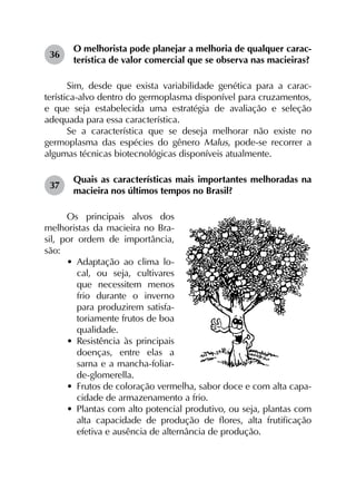 36	
O melhorista pode planejar a melhoria de qualquer carac­
terística de valor comercial que se observa nas macieiras?
Sim, desde que exista variabilidade genética para a carac­
terística-alvo dentro do germoplasma disponível para cruzamentos,
e que seja estabelecida uma estratégia de avaliação e seleção
adequada para essa característica.
Se a característica que se deseja melhorar não existe no
germoplasma das espécies do gênero Malus, pode-se recorrer a
algumas técnicas biotecnológicas disponíveis atualmente.
37	
Quais as características mais importantes melhoradas na
macieira nos últimos tempos no Brasil?
Os principais alvos dos
melhoristas da macieira no Bra-
sil, por ordem de importância,
são:
•	 Adaptação ao clima lo-
cal, ou seja, cultivares
que necessitem menos
frio durante o inverno
para produzirem satisfa-
toriamente frutos de boa
qualidade.
•	 Resistência às principais
doenças, entre elas a
sarna e a mancha-foliar-
de-glomerella.
•	 Frutos de coloração vermelha, sabor doce e com alta capa-
cidade de armazenamento a frio.
•	 Plantas com alto potencial produtivo, ou seja, plantas com
alta capacidade de produção de flores, alta frutificação
efetiva e ausência de alternância de produção.
 