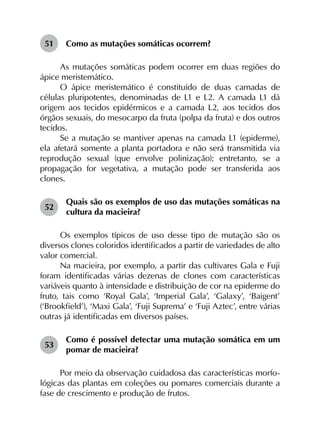 51	 Como as mutações somáticas ocorrem?
As mutações somáticas podem ocorrer em duas regiões do
ápice meristemático.
O ápice meristemático é constituído de duas camadas de
células pluripotentes, denominadas de L1 e L2. A camada L1 dá
origem aos tecidos epidérmicos e a camada L2, aos tecidos dos
órgãos sexuais, do mesocarpo da fruta (polpa da fruta) e dos outros
tecidos.
Se a mutação se mantiver apenas na camada L1 (epiderme),
ela afetará somente a planta portadora e não será transmitida via
reprodução sexual (que envolve polinização); entretanto, se a
propagação for vegetativa, a mutação pode ser transferida aos
clones.
52	
Quais são os exemplos de uso das mutações somáticas na
cultura da macieira?
Os exemplos típicos de uso desse tipo de mutação são os
diversos clones coloridos identificados a partir de variedades de alto
valor comercial.
Na macieira, por exemplo, a partir das cultivares Gala e Fuji
foram identificadas várias dezenas de clones com características
variáveis quanto à intensidade e distribuição de cor na epiderme do
fruto, tais como ‘Royal Gala’, ‘Imperial Gala’, ‘Galaxy’, ‘Baigent’
(‘Brookfield’), ‘Maxi Gala’, ‘Fuji Suprema’ e ‘Fuji Aztec’, entre várias
outras já identificadas em diversos países.
53	
Como é possível detectar uma mutação somática em um
pomar de macieira?
Por meio da observação cuidadosa das características morfo­
lógicas das plantas em coleções ou pomares comerciais durante a
fase de crescimento e produção de frutos.
 