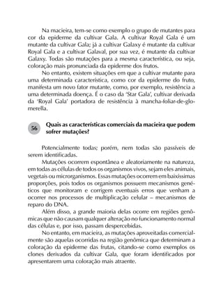 Na macieira, tem-se como exemplo o grupo de mutantes para
cor da epiderme da cultivar Gala. A cultivar Royal Gala é um
mutante da cultivar Gala; já a cultivar Galaxy é mutante da cultivar
Royal Gala e a cultivar Galaval, por sua vez, é mutante da cultivar
Galaxy. Todas são mutações para a mesma característica, ou seja,
coloração mais pronunciada da epiderme dos frutos.
No entanto, existem situações em que a cultivar mutante para
uma determinada característica, como cor da epiderme do fruto,
manifesta um novo fator mutante, como, por exemplo, resistência a
uma determinada doença. É o caso da ‘Star Gala’, cultivar derivada
da ‘Royal Gala’ portadora de resistência à mancha-foliar-de-glo­
merella.
56	
Quais as características comerciais da macieira que podem
sofrer mutações?
Potencialmente todas; porém, nem todas são passíveis de
serem identificadas.
Mutações ocorrem espontânea e aleatoriamente na natureza,
em todas as células de todos os organismos vivos, sejam eles animais,
vegetais ou microrganismos. Essas mutações ocorrem em baixíssimas
proporções, pois todos os organismos possuem mecanismos gené­
ticos que monitoram e corrigem eventuais erros que venham a
ocorrer nos processos de multiplicação celular – mecanismos de
reparo do DNA.
Além disso, a grande maioria delas ocorre em regiões genô­
micas que não causam qualquer alteração no funcionamento normal
das células e, por isso, passam despercebidas.
No entanto, em macieira, as mutações aproveitadas comercial­
mente são aquelas ocorridas na região genômica que determinam a
coloração da epiderme das frutas, citando-se como exemplos os
clones derivados da cultivar Gala, que foram identificados por
apresentarem uma coloração mais atraente.
 