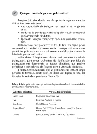 60	 Qualquer variedade pode ser polinizadora?
Em princípio sim, desde que ela apresente algumas caracte­
rísticas fundamentais, como:
•	 Alta capacidade de floração, sem alternar ao longo dos
anos.
•	 Produçãodegrandequantidadedepólenviávelecompatível
com a variedade produtora.
•	 Época de floração coincidente com a da variedade produ­
tora.
Polinizadoras que produzem frutos de boa aceitação pelos
consumidores e resistentes ao manuseio e transporte devem ser as
preferidas, pois se os seus frutos forem comercializados, a rentabi­
lidade do pomar será maior.
Além disso, é importante plantar mais de uma variedade
polinizadora para evitar problemas de frutificação por falta de
polinização em decorrência de fatores climáticos que podem
prejudicar a coincidência de floração com a variedade produtora.
É fundamental, também, que as polinizadoras tenham longo
período de floração, desde antes do início até depois do final da
floração da variedade produtora (Tabela 1).
Tabela 1. Principais variedades produtoras disponíveis no Brasil e as variedades
polinizadoras recomendadas.
Variedade produtora Variedade polinizadora
Castel Gala Condessa, Princesa e Eva
Eva Princesa, Anabela e Carícia
Condessa Castel Gala e Princesa
Grupo Gala(1)
Grupo Fuji(2)
, Willie Sharp, Fred Hough(3)
e Granny
Smith Spur
Daiane Sansa, Granny Smith, 140/76(4)
, 140/228(4)
Continua...
 