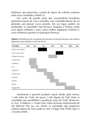 Delicious, que preenchia a janela de época de colheita existente
entre essas variedades (Tabela 3).
Em razão de grande parte dos consumidores brasileiros
preferirem maçãs de casca vermelha, essa variedade deixou de ser
plantada, por possuir casca amarela. Em seu lugar, podem ser
produzidas as variedades Fuji Precoce, Joaquina e Daiane, todas
com alguns atributos a mais, como melhor adaptação climática e
certa resistência genética às principais doenças.
Tabela 3. Distribuição de variedades de macieira em função da época de colheita
disponíveis para plantio no Sul do Brasil.
Variedade Dez. Jan. Fev. Mar. Abr. Maio Jun.
Gala e seus clones                                                                        
Fuji e seus clones                                                                        
Golden Delicious                                                                        
Castel Gala                                                                        
Condessa                                                                        
Eva                                                                      
Monalisa                                                                        
Fuji Precoce                                                                        
Joaquina                                                                        
Daiane                                                                        
Kinkas                                                                        
Cripps Pink                                                                        
Atualmente é possível produzir maçãs desde, pelo menos,
1 mês antes da ‘Gala’ até quase 1 mês depois da ‘Fuji’. Entre as
variedades que possibilitam a produção antes da ‘Gala’ destacam-
se ‘Eva’, ‘Condessa’ e ‘Castel Gala’, todas de baixo requerimento de
frio hibernal. Por sua vez, dentre as variedades que propiciam
colheita depois da ‘Fuji’, pode-se citar a Cripps Pink (‘Pink Lady’) e
a Granny Smith.
 