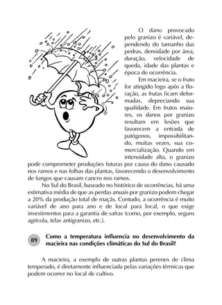 O dano provocado
pelo granizo é variável, de-
pendendo do tamanho das
pedras, densidade por área,
duração, velocidade de
queda, idade das plantas e
época de ocorrência.
Em macieira, se o fruto
for atingido logo após a flo-
ração, as frutas ficam defor-
madas, depreciando sua
qualidade. Em frutos maio-
res, os danos por granizo
resultam em lesões que
favorecem a entrada de
patógenos, impossibilitan-
do, muitas vezes, sua co-
mercialização. Quando em
intensidade alta, o granizo
pode comprometer produções futuras por causa do dano causado
nos ramos e nas folhas das plantas, favorecendo o desenvolvimento
de fungos que causam cancro nos ramos.
No Sul do Brasil, baseado no histórico de ocorrências, há uma
estimativa média de que as perdas anuais por granizo podem chegar
a 20% da produção total de maçãs. Contudo, a ocorrência é muito
variável de ano para ano e de local para local, o que exige
investimentos para a garantia de safras (como, por exemplo, seguro
agrícola, telas antigranizo, etc.).
89	
Como a temperatura influencia no desenvolvimento da
macieira nas condições climáticas do Sul do Brasil?
A macieira, a exemplo de outras plantas perenes de clima
temperado, é diretamente influenciada pelas variações térmicas que
podem ocorrer no local de cultivo.
 