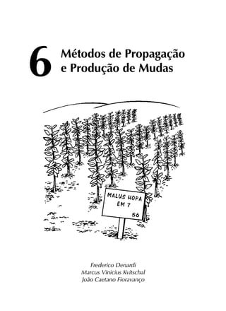 6	
Métodos de Propagação
	 e Produção de Mudas
Frederico Denardi
Marcus Vinicius Kvitschal
João Caetano Fioravanço
 