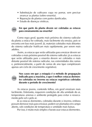 •	 Substituição de cultivares copa no pomar, sem precisar
arrancar as plantas (sobre-enxertia).
•	 Reparação de plantas com partes danificadas.
•	 Estudo de doenças viróticas.
111	
Em que parte da planta devem ser coletadas as estacas
para enraizamento ou enxertia?
Como regra geral, quanto mais próxima do sistema radicular
da planta a estaca for coletada, mais facilmente ela enraíza, pois se
encontra em fase mais juvenil. Já, materiais coletados mais distantes
do sistema radicular frutificam mais rapidamente, por serem mais
adultos.
Assim, as estacas que serão utilizadas para enraizar devem ser
coletadas o mais próximo possível do sistema radicular; já as estacas
que serão utilizadas para a enxertia devem ser coletadas o mais
distante possível do sistema radicular, nas extremidades dos ramos
e, preferencialmente, a partir de ramos de ano (que completaram
apenas um ciclo de crescimento vegetativo).
112	
Nos casos em que a estaquia é o método de propagação
indicado para a macieira, o que é melhor: estacas dormen­
tes coletadas no inverno ou estacas vegetativas coletadas
durante o período de crescimento?
As estacas jovens, contendo folhas, em geral enraízam mais
facilmente. Entretanto, requerem condições de alta umidade do ar,
temperaturas amenas e ambiente protegido para evitar o resseca­
mento pelo sol e pelo ar.
Já as estacas dormentes, coletadas durante o inverno, embora
possam demorar mais para enraizar, podem ser plantadas em campo
aberto, sob condições de temperatura e umidade mais baixas.
Por isso, é muito mais simples e barato usar estacas dormentes.
 