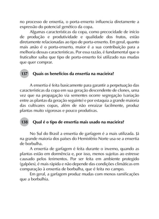no processo de enxertia, o porta-enxerto influencia diretamente a
expressão do potencial genético da copa.
Algumas características da copa, como precocidade de início
de produção e produtividade e qualidade dos frutos, estão
diretamente relacionadas ao tipo de porta-enxerto. Em geral, quanto
mais anão é o porta-enxerto, maior é a sua contribuição para a
melhoria dessas características. Por essa razão, é fundamental que o
fruticultor saiba que tipo de porta-enxerto foi utilizado nas mudas
que quer comprar.
137	 Quais os benefícios da enxertia na macieira?
A enxertia é feita basicamente para garantir a perpetuação das
características da copa em sua geração descendente de clones, uma
vez que na propagação via sementes ocorre segregação (variação
entre as plantas da geração seguinte) e por estaquia a grande maioria
das cultivares copas, além de não enraizar facilmente, produz
plantas muito vigorosas e pouco produtivas.
138	 Qual é o tipo de enxertia mais usado na macieira?
No Sul do Brasil a enxertia de garfagem é a mais utilizada. Já
na grande maioria dos países do Hemisfério Norte usa-se a enxertia
de borbulha.
A enxertia de garfagem é feita durante o inverno, quando as
plantas estão em dormência e, por isso, menos sujeitas ao estresse
causado pelos ferimentos. Por ser feita em ambiente protegido
(galpões), é mais rápida e não depende das condições climáticas em
comparação à enxertia de borbulha, que é feita no campo.
Em geral, a garfagem produz mudas com menos ramificações
que a borbulhia.
 