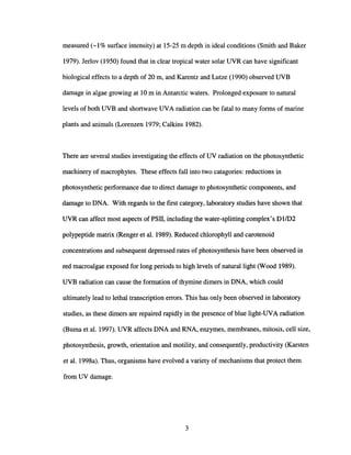 measured (-1% surface intensity) at 15-25 m depth in ideal conditions (Smith and Baker
1979). Jerlov (1950) found that in clear tropical water solar UVR can have significant
biological effects to a depth of 20 m, and Karentz and Lutze (1990) observed UVB
damage in algae growing at 10 m in Antarctic waters. Prolonged exposure to natural
levels of both UVB and shortwave UVA radiation can be fatal to many forms of marine
plants and animals (Lorenzen 1979; Calkins 1982).
There are several studies investigating the effects of UV radiation on the photosynthetic
machinery of macrophytes. These effects fall into two catagories: reductions in
photosynthetic performance due to direct damage to photosynthetic components, and
damage to DNA. With regards to the first category, laboratory studies have shown that
UVR can affect most aspects of PSII, including the water-splitting complex's D1/D2
polypeptide matrix (Renger et al. 1989). Reduced chlorophyll and carotenoid
concentrations and subsequent depressed rates of photosynthesis have been observed in
red macroalgae exposed for long periods to high levels of natural light (Wood 1989).
UVB radiation can cause the formation of thymine dimers in DNA, which could
ultimately lead to lethal transcription errors. This has only been observed in laboratory
studies, as these dimers are repaired rapidly in the presence of blue light-UVA radiation
(Burna et al. 1997). UVR affects DNA and RNA, enzymes, membranes, mitosis, cell size,
photosynthesis, growth, orientation and motility, and consequently, productivity (Karsten
et al. 1998a). Thus, organisms have evolved a variety of mechanisms that protect them
from UV damage.
3
 