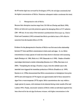 the 80 marine algal taxa surveyed by Sivalingam (1974), the red algae consistently had
the highest concentrations of MAAs. Numerous subsequent studies corroborate this trend.
2. Photoprotective role of MAAs.
Because their absorption maxima range from 310-360 nm (Dunlap and Shick 1998),
MAAs are believed to provide protection against the damaging effects of UV radiation
(280 - 400 nm). In one study of the terrestrial cyanobacterium Gloeocapsa sp., Garcia-
Pichel and Castenholz (1993) estimated that MAAs provided at least a 30% effective
sunscreen from the harmful effects of UVR.
Evidence for the photoprotective function of MAAs was first seen in the relationship
between UV dose and MAA concentration in both corals and algae. In vivo MAA
concentrations in many species of corals have been shown to decrease with increasing
depth (Dunlap et al. 1986, Shick et al. 1995, Banaszak et al. 1998). Studies of benthic
macroalgae determined a similar relationship (Karsten et al. 1998a, Huovinen et al.
2004). Transplating the red alga, Chondrus crispus, from the subtidal zone to the
intertidal zone triggered the immediate production of MAAs (Franklin et al. 1999).
Karsten et al. (1998a) demonstrated that MAA concentrations in rhodophytes from polar
(80
0
N) and cold-temperate (53°N) regions are approximately half of those measured in
algae from a warm-temperate (35°N) region. MAA concentrations also vary within a
single species by season, with minimum levels detected during winter months (Post and
Larkum 1993). Finally, microscale variation of MAAs within an individual organism has
been observed for the red alga Eucheuma striatum, with higher concentrations in the
5
 
