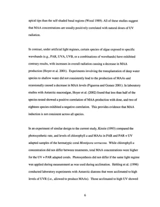 apical tips than the self-shaded basal regions (Wood 1989). All of these studies suggest
that MAA concentrations are usually positively correlated with natural doses of UV
radiation.
In contrast, under artificial light regimes, certain species of algae exposed to specific
wavebands (e.g., PAR, UVA, UVB, or a combinations of wavebands) have exhibited
contrary results, with increases in overall radiation causing a decrease in MAA
production (Hoyer et al. 2001). Experiments involving the transplantation of deep water
species to shallow water did not consistently lead to the production of MAAs and
ocassionally caused a decrease in MAA levels (Figueroa and Gomez 2001). In laboratory
studies with Antarctic macroalgae, Hoyer et al. (2002) found that less than half of the
species tested showed a positive correlation of MAA production with dose, and two of
eighteen species exhibited a negative correlation. This provides evidence that MAA
induction is not consistent across all species.
In an experiment of similar design to the current study, Kinzie (1993) compared the
photosynthetic rate, and levels of chlorophyll a and MAAs in PAR and PAR + UV
adapted samples of the hermatypic coral Montipora verrucosa. While chlorophyll a
concentration did not differ between treatments, total MAA concentrations were higher
for the UV + PAR adapted corals. Photosynthesis did not differ if the same light regime
was applied during measurement as was used during acclimation. Hebling et al. (1996)
conducted laboratory experiments with Antarctic diatoms that were acclimated to high
levels of UVR (i.e., allowed to produce MAAs). Those acclimated to high UV showed
6
 