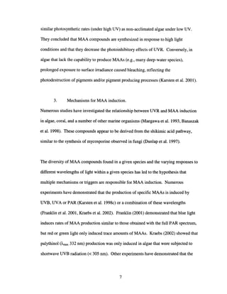 similar photosynthetic rates (under high UV) as non-acclimated algae under low UV.
They concluded that MAA compounds are synthesized in response to high light
conditions and that they decrease the photoinhibitory effects of UVR. Conversely, in
algae that lack the capability to produce MAAs (e.g., many deep-water species),
prolonged exposure to surface irradiance caused bleaching, reflecting the
photodestruction of pigments and/or pigment producing processes (Karsten et al. 2001).
3. Mechanisms for MAA induction.
Numerous studies have investigated the relationship between UVR and MAA induction
in algae, coral, and a number of other marine organisms (Maegawa et al. 1993, Banaszak
et al. 1998). These compounds appear to be derived from the shikimic acid pathway,
similar to the synthesis of mycosporine observed in fungi (Dunlap et al. 1997).
The diversity of MAA compounds found in a given species and the varying responses to
different wavelengths of light within a given species has led to the hypothesis that
multiple mechanisms or triggers are responsible for MAA induction. Numerous
experiments have demonstrated that the production of specific MAAs is induced by
UVB, UVA or PAR (Karsten et al. 1998c) or a combination of these wavelengths
(Franklin et al. 2001, Kraebs et al. 2002). Franklin (2001) demonstrated that blue light
induces rates of MAA production similar to those obtained with the full PAR spectrum,
but red or green light only induced trace amounts of MAAs. Kraebs (2002) showed that
palythinol ("'max 332 nm) production was only induced in algae that were subjected to
shortwave UVB radiation « 305 nm). Other experiments have demonstrated that the
7
 