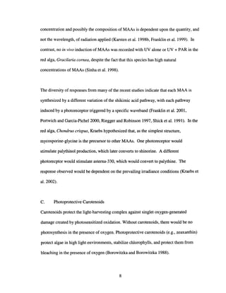 concentration and possibly the composition of MAAs is dependent upon the quantity, and
not the wavelength, of radiation applied (Karsten et al. 1998b, Franklin et al. 1999). In
contrast, no in vivo induction of MAAs was recorded with UV alone or UV + PAR in the
red alga, Gracilaria cornea, despite the fact that this species has high natural
concentrations of MAAs (Sinha et al. 1998).
The diversity of responses from many of the recent studies indicate that each MAA is
synthesized by a different variation of the shikimic acid pathway, with each pathway
induced by a photoreceptor triggered by a specific waveband (Franklin et al. 2001,
Portwich and Garcia-PicheI2000, Riegger and Robinson 1997, Shick et al. 1991). In the
red alga, Chondrus crispus, Kraebs hypothesized that, as the simplest structure,
mycosporine-glycine is the precursor to other MAAs. One photoreceptor would
stimulate palythinol production, which later converts to shinorine. A different
photorecptor would stimulate astema-330, which would convert to palythine. The
response observed would be dependent on the prevailing irradiance conditions (Kraebs et
al.2002).
C. Photoprotective Carotenoids
Carotenoids protect the light-harvesting complex against singlet oxygen-generated
damage created by photosensitized oxidation. Without carotenoids, there would be no
photosynthesis in the presence of oxygen. Photoprotective carotenoids (e.g., zeaxanthin)
protect algae in high light environments, stabilize chlorophylls, and protect them from
bleaching in the presence of oxygen (Borowitzka and Borowitzka 1988).
8
 