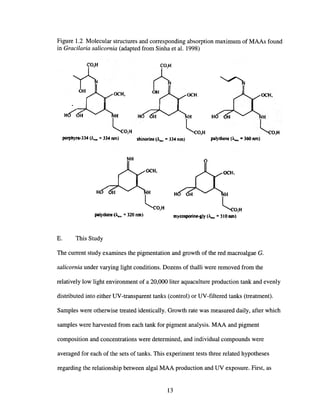 Figure 1.2 Molecular structures and corresponding absorption maximum of MAAs found
in Gracilaria salicornia (adapted from Sinha et al. 1998)
~
I
OCR OCH.
H H NH H
leO'H leO'Hporph)'ra·334 ()....... 334 nm) shinorlne (Aw., ... 334 nm) pal)·thene (),.,... • 360 l'UTI)
palydline (A.., ". 320 nm) m)'cosporinc-gly 0..... = 310nm)
E. This Study
The current study examines the pigmentation and growth of the red macroalgae G.
salicornia under varying light conditions. Dozens of thalli were removed from the
relatively low light environment of a 20,000 liter aquaculture production tank and evenly
distributed into either UV-transparent tanks (control) or UV-filtered tanks (treatment).
Samples were otherwise treated identically. Growth rate was measured daily, after which
samples were harvested from each tank for pigment analysis. MAA and pigment
composition and concentrations were determined, and individual compounds were
averaged for each of the sets of tanks. This experiment tests three related hypotheses
regarding the relationship between algal MAA production and UV exposure. First, as
13
 