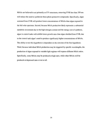MAAs are believed to act primarily as UV sunscreens, removing UVR less than 350 nm
will reduce the need to synthesize these photo-protective compounds. Specifically, algae
screened from UVR will produce lower concentrations of MAAs than algae exposed to
the full solar spectrum. Second, because MAA production likely represents a substantial
metabolic investment due to the high nitrogen content and the energy cost of synthesis,
algae in control tanks will exhibit lower growth rates than algae shielded from UVR, due
to the control tank algae's need to produce significanly higher concentrations of MAAs.
The ability to test this hypothesis is dependent on the outcome of the first hypothesis.
Third, because individual MAA production may be triggered by specific wavelengths, the
production of algae exposed to variable light regimes will express different MAA ratios.
Specifically, some MAAs may be produced at high rates, while other MAAs will be
produced at depressed rates or not at all.
14
 