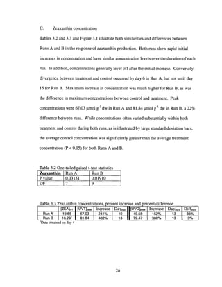 C. Zeaxanthin concentration
Tables 3.2 and 3.3 and Figure 3.1 illustrate both similarities and differences between
Runs A and B in the response of zeaxanthin production. Both runs show rapid initial
increases in concentration and have similar concentration levels over the duration of each
run. In addition, concentrations generally level off after the initial increase. Conversely,
divergence between treatment and control occurred by day 6 in Run A, but not until day
15 for Run B. Maximum increase in concentration was much higher for Run B, as was
the difference in maximum concentrations between control and treatment. Peak
concentrations were 67.03 Jlmol g-l dw in Run A and 81.84 Jlmol g-l dw in Run B, a 22%
difference between runs. While concentrations often varied substantially within both
treatment and control during both runs, as is illustrated by large standard deviation bars,
the average control concentration was significantly greater than the average treatment
concentration (P < 0.05) for both Runs A and B.
'1 d . dT bl 320a e ne-tal e palre t-test statIstIcs
Zeaxanthin Run A RunB
P value 0.03151 0.01910
DF 7 9
t d'f£dt .t fthO
Data obtamed on day 4
T bl 33 Zea e axan In concen ra Ions, percen Increase an percen I erence
[ZEA]H [UVT]oeak Increase DaYmax [UVO]peak Increase DaYmax Diffmax
Run A 19.65 67.03 241% 10 49.58 152% 13 35%
Run B 16.29 81.84 402% 13 79.47 388% 13 3%
1-
26
 