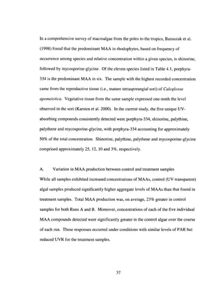 In a comprehensive survey of macroalgae from the poles to the tropics, Banaszak et al.
(1998) found that the predominant MAA in rhodophytes, based on frequency of
occurrence among species and relative concentration within a given species, is shinorine,
followed by mycosporine-glycine. Of the eleven species listed in Table 4.1, porphyra-
334 is the predominant MAA in six. The sample with the highest recorded concentration
came from the reproductive tissue (i.e., mature tetrasporangial sori) of Caloglossa
apomeiotica. Vegetative tissue from the same sample expressed one-tenth the level
observed in the sori (Karsten et al. 2000). In the current study, the five unique UV-
absorbing compounds consistently detected were porphyra-334, shinorine, palythine,
palythene and mycosporine-glycine, with porphyra-334 accounting for approximately
50% of the total concentration. Shinorine, palythine, palythene and mycosporine-glycine
comprised approximately 25, 12, 10 and 3%, respectively.
A. Variation in MAA production between control and treatment samples
While all samples exhibited increased concentrations of MAAs, control (UV-transparent)
algal samples produced significantly higher aggregate levels of MAAs than that found in
treatment samples. Total MAA production was, on average, 23% greater in control
samples for both Runs A and B. Moreover, concentrations of each of the five individual
MAA compounds detected were significantly greater in the control algae over the course
of each run. These responses occurred under conditions with similar levels of PAR but
reduced UVR for the treatment samples.
37
 