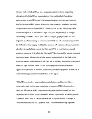 Because each of the five MAAs has a unique absorption spectrum, intracellular
absorption of light by MAAs is dependent on 1) the incident light field, 2) the
concentration of each MAA, and 3) the unique absorption spectrum and extinction
coefficient of each MAA present. Combining these properties provides a spectrally
weighted extinction coefficient (SWEC) for each of the MAAs. Integrating SWEC
values over a part of, or the entire UV light field gives the percentage of sunlight
absorbed by each MAA. Based upon a SWEC analysis, porphyra-334 is the most
important MAA in screening G. salicornia from UVB and UVA radiation, responsible
for 41.5 to 54.6% (averaging 47.4%) of the absorbed UV radiation. Because shinorine
absorbs with equal effectiveness in the UVA and UVB, its contribution remained
relatively constant at 25% in both the UVA and UVB regions and for both the treatment
and control algae. Mycosporine-glycine absorbs almost entirely in the UVB, while
Palythene absorbs almost entirely in the UVA and is the MAA responsible for almost all
of the UV light absorbed above 350 nm. While palythine concentrations were
approximately half that of shinorine, due to strong absorption properties in the UVB, it
contributed an equivalent level of protection in this region.
While MAA synthesis is widespread across algal classes, and therefore likely a
conservative trait, phylogenetic trends in the occurrence of MAAs have not been
observed. Hoyer et al. (2001) suggest that macroalgae can be separated into three
physiologically different groups; (1) species with no capability for MAA biosynthesis;
(2) species with a basal MAA concentration that is adjusted relative to changes in
environmental radiation; and (3) species with a constant and relatively high MAA
38
 