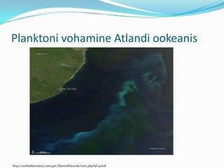 Planktoni vohamine Atlandi ookeanishttp://earthobservatory.nasa.gov/NaturalHazards/view.php?id=42618