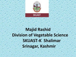 Majid Rashid
Division of Vegetable Science
SKUAST-K Shalimar
Srinagar, Kashmir
 