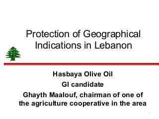 1
Protection of Geographical
Indications in Lebanon
Hasbaya Olive Oil
GI candidate
Ghayth Maalouf, chairman of one of
the agriculture cooperative in the area
 