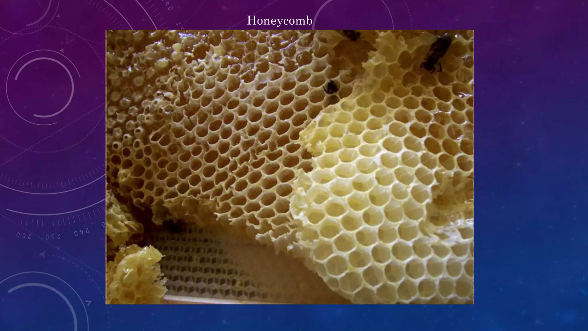 Honeycomb
 
