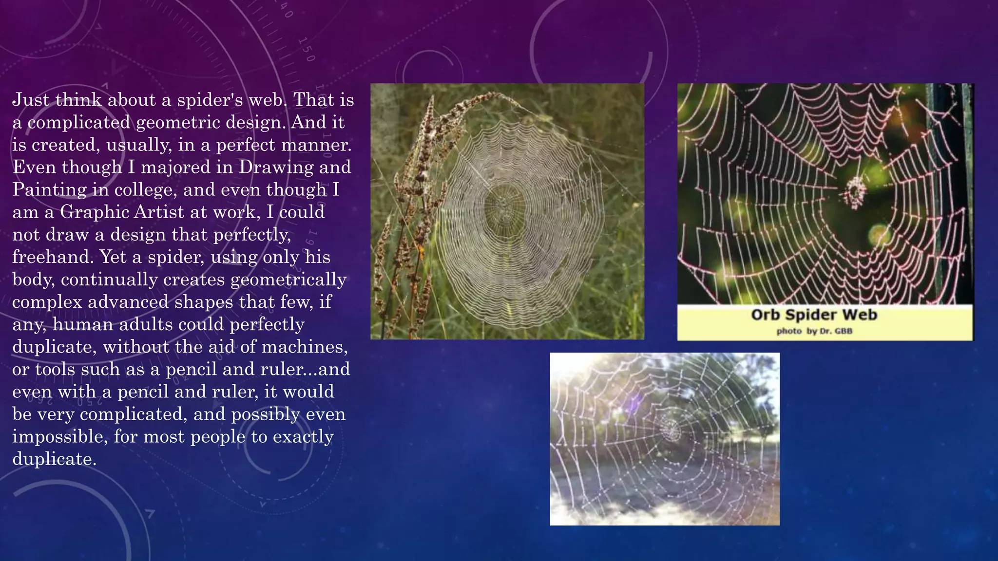 Just think about a spider's web. That is
a complicated geometric design. And it
is created, usually, in a perfect manner.
Even though I majored in Drawing and
Painting in college, and even though I
am a Graphic Artist at work, I could
not draw a design that perfectly,
freehand. Yet a spider, using only his
body, continually creates geometrically
complex advanced shapes that few, if
any, human adults could perfectly
duplicate, without the aid of machines,
or tools such as a pencil and ruler...and
even with a pencil and ruler, it would
be very complicated, and possibly even
impossible, for most people to exactly
duplicate.
 