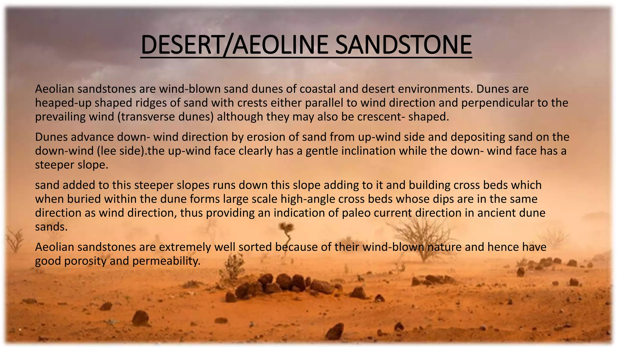 DESERT/AEOLINE SANDSTONE
Aeolian sandstones are wind-blown sand dunes of coastal and desert environments. Dunes are
heaped-up shaped ridges of sand with crests either parallel to wind direction and perpendicular to the
prevailing wind (transverse dunes) although they may also be crescent- shaped.
Dunes advance down- wind direction by erosion of sand from up-wind side and depositing sand on the
down-wind (lee side).the up-wind face clearly has a gentle inclination while the down- wind face has a
steeper slope.
sand added to this steeper slopes runs down this slope adding to it and building cross beds which
when buried within the dune forms large scale high-angle cross beds whose dips are in the same
direction as wind direction, thus providing an indication of paleo current direction in ancient dune
sands.
Aeolian sandstones are extremely well sorted because of their wind-blown nature and hence have
good porosity and permeability.
 