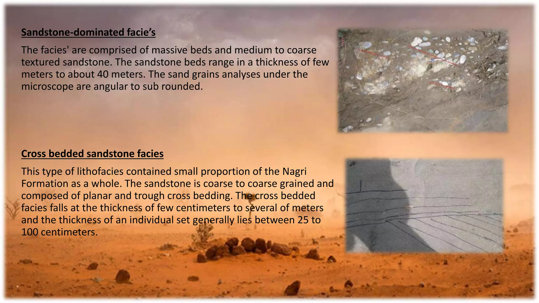 Sandstone-dominated facie’s
The facies' are comprised of massive beds and medium to coarse
textured sandstone. The sandstone beds range in a thickness of few
meters to about 40 meters. The sand grains analyses under the
microscope are angular to sub rounded.
Cross bedded sandstone facies
This type of lithofacies contained small proportion of the Nagri
Formation as a whole. The sandstone is coarse to coarse grained and
composed of planar and trough cross bedding. The cross bedded
facies falls at the thickness of few centimeters to several of meters
and the thickness of an individual set generally lies between 25 to
100 centimeters.
 