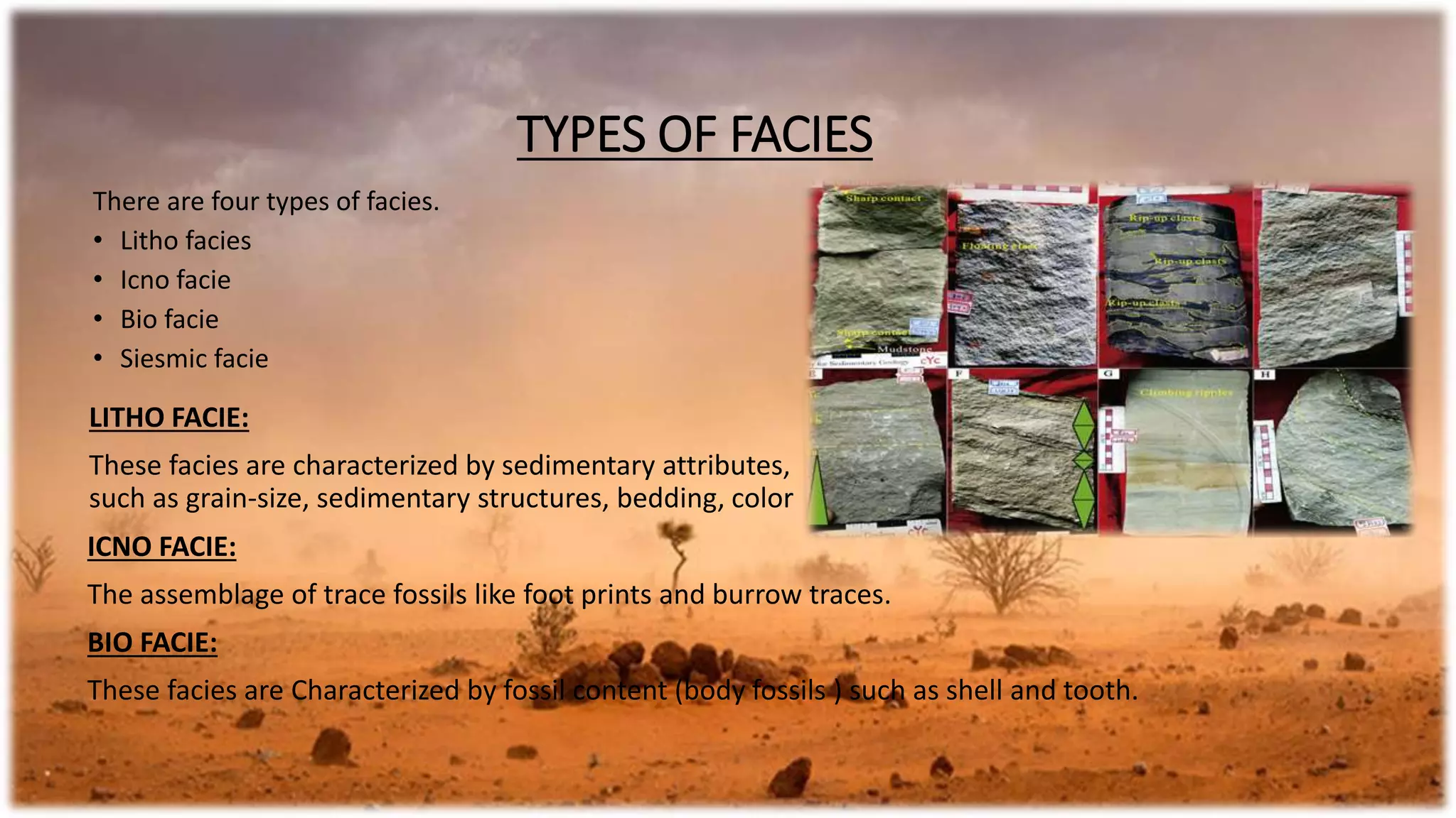 TYPES OF FACIES
There are four types of facies.
• Litho facies
• Icno facie
• Bio facie
• Siesmic facie
LITHO FACIE:
These facies are characterized by sedimentary attributes,
such as grain-size, sedimentary structures, bedding, color
ICNO FACIE:
The assemblage of trace fossils like foot prints and burrow traces.
BIO FACIE:
These facies are Characterized by fossil content (body fossils ) such as shell and tooth.
 