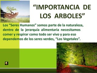 “IMPORTANCIA DE
LOS ARBOLES”
Los “Seres Humanos” somos parte de la naturaleza,
dentro de la jerarquía alimentaria necesitamos
comer y respirar como todo ser vivo y para eso
dependemos de los seres verdes, “Los Vegetales”.
 