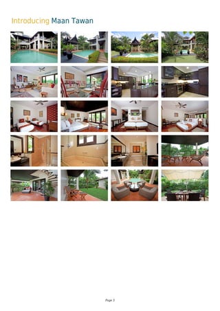 Introducing Maan Tawan
Page 3
 