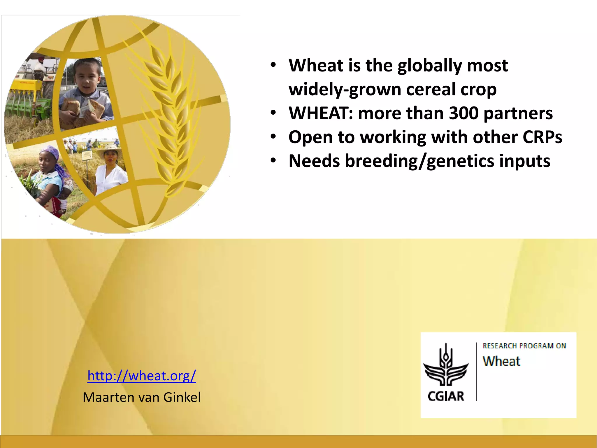http://wheat.org/
Maarten van Ginkel
• Wheat is the globally most
widely-grown cereal crop
• WHEAT: more than 300 partners
• Open to working with other CRPs
• Needs breeding/genetics inputs
 