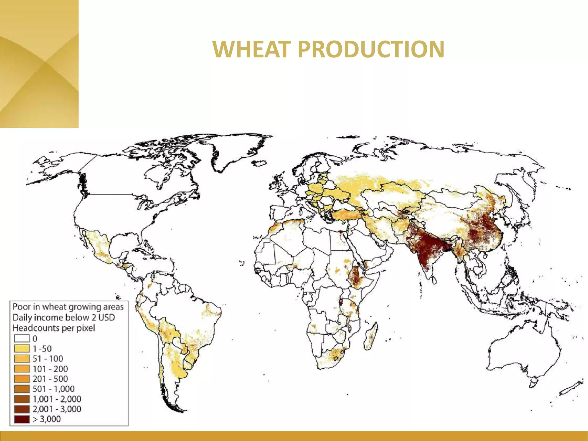 WHEAT PRODUCTION
 
