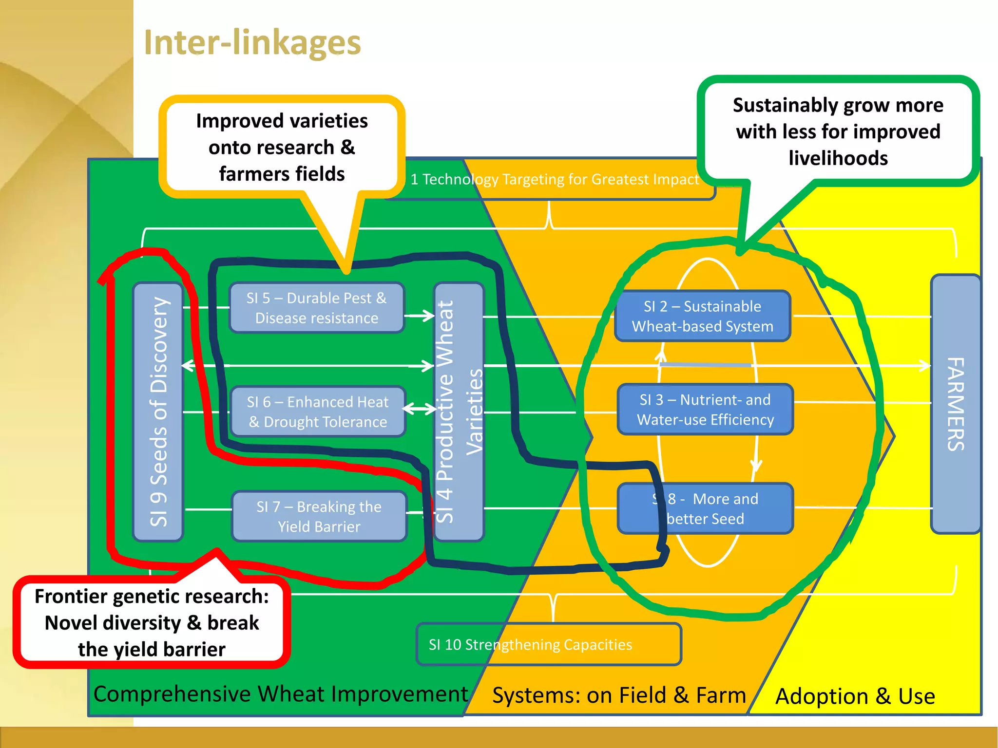 Inter-linkages
SI 5 – Durable Pest &
Disease resistance
SI 6 – Enhanced Heat
& Drought Tolerance
SI 7 – Breaking the
Yield Barrier
SI4ProductiveWheat
Varieties
SI9SeedsofDiscovery
FARMERS
SI 10 Strengthening Capacities
SI 1 Technology Targeting for Greatest Impact
Comprehensive Wheat Improvement Systems: on Field & Farm Adoption & Use
SI 2 – Sustainable
Wheat-based System
SI 3 – Nutrient- and
Water-use Efficiency
SI 8 - More and
better Seed
Sustainably grow more
with less for improved
livelihoods
Frontier genetic research:
Novel diversity & break
the yield barrier
Improved varieties
onto research &
farmers fields
 