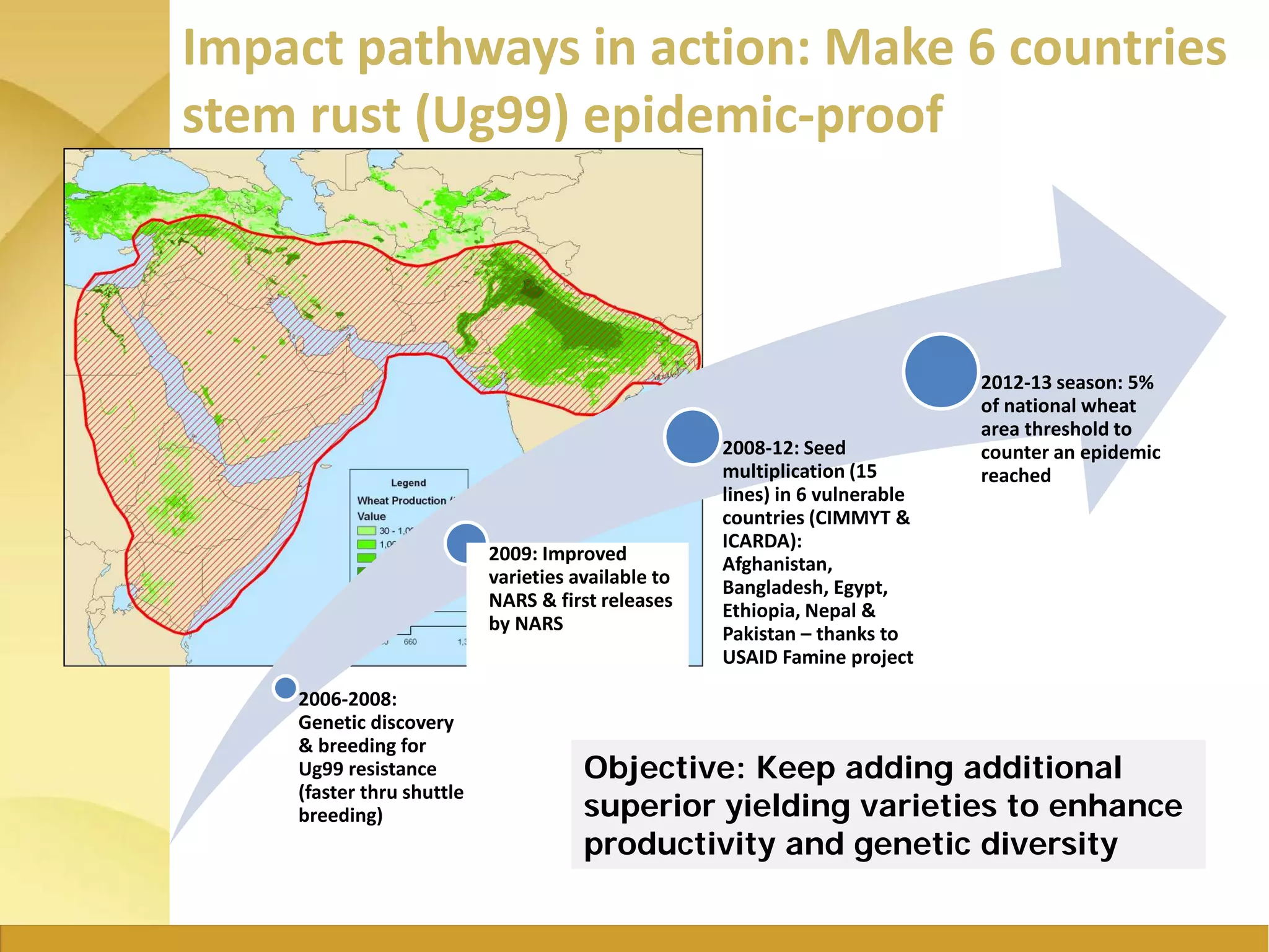 Impact pathways in action: Make 6 countries
stem rust (Ug99) epidemic-proof
2006-2008:
Genetic discovery
& breeding for
Ug99 resistance
(faster thru shuttle
breeding)
2009: Improved
varieties available to
NARS & first releases
by NARS
2008-12: Seed
multiplication (15
lines) in 6 vulnerable
countries (CIMMYT &
ICARDA):
Afghanistan,
Bangladesh, Egypt,
Ethiopia, Nepal &
Pakistan – thanks to
USAID Famine project
2012-13 season: 5%
of national wheat
area threshold to
counter an epidemic
reached
Objective: Keep adding additional
superior yielding varieties to enhance
productivity and genetic diversity
 