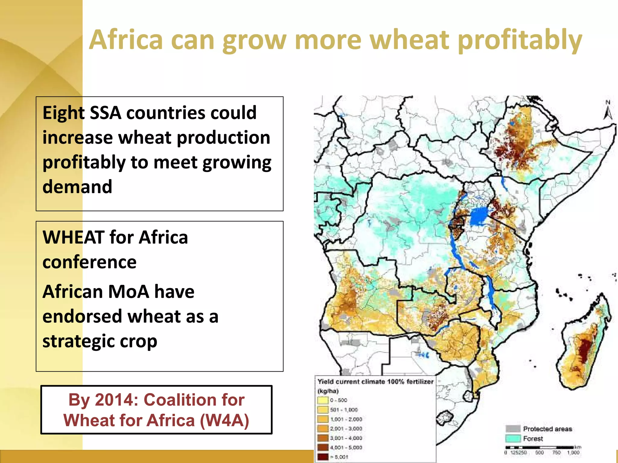 Africa can grow more wheat profitably
Eight SSA countries could
increase wheat production
profitably to meet growing
demand
WHEAT for Africa
conference
African MoA have
endorsed wheat as a
strategic crop
By 2014: Coalition for
Wheat for Africa (W4A)
 